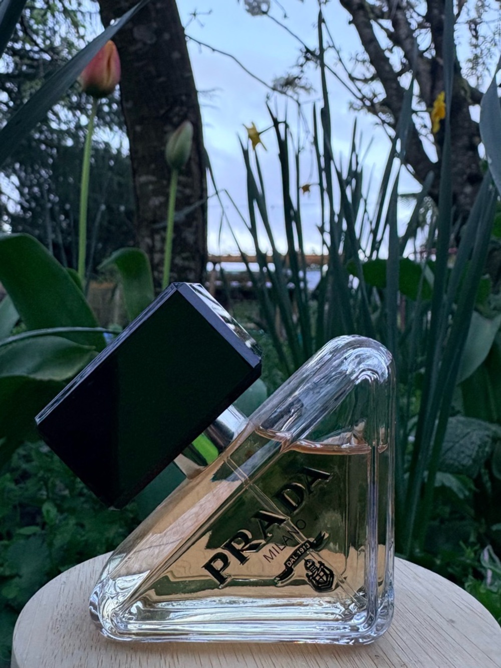 Prada Paradoxe |  30 mL Eau de Parfum w/o Original Packaging